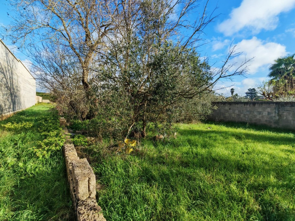 Giano Group Immobiliare